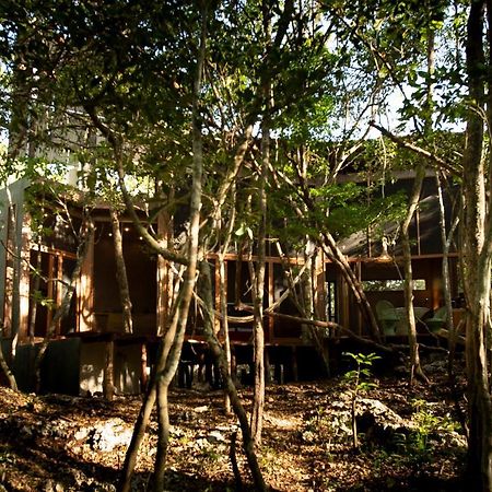 Ojo De Arbol, Boutique Cabin In The Real Jungle Tulum Exterior photo